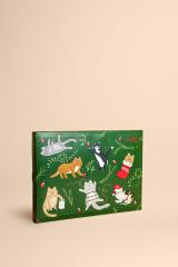 Katzen Adventskalender 2023